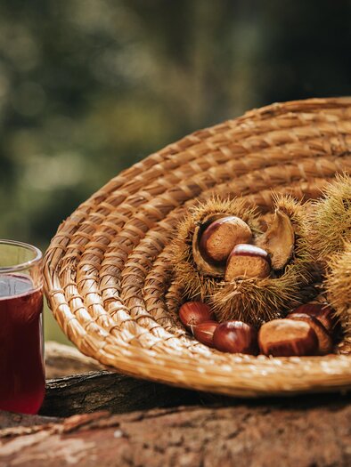Sturm und Kastanien | © Tourismusverband Südsteiermark