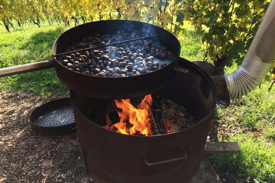 Sturm und Kastanienstand: Weingut Deutschmann, Familie Teltscher - Impression #1 | © Weingut Deutschmann | Markus Deutschmann