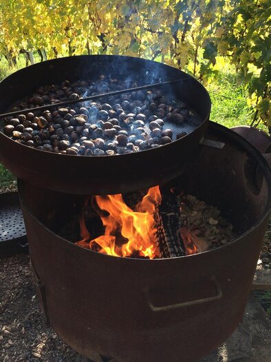 Sturm und Kastanienstand | © Weingut Deutschmann | Markus Deutschmann