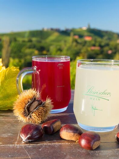 Sturm und Kastanien | © Tourismusverband Südsteiermark