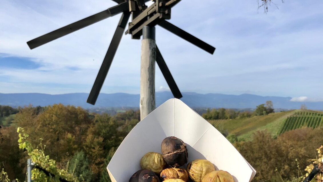 Eine Hand hält eine Tüte mit Kastanien vor einem Windrad und einer malerischen Weinlandschaft. Der Himmel ist blau mit einigen Wolken. | © Klapotetzhof