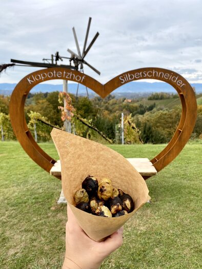 Kastanien vor dem Fotopoint am Klapotetzhof | © Klapotetzhof