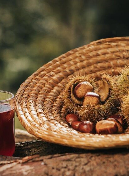 Sturm und Kastanien | Lupi Spuma | © Lupi Spuma