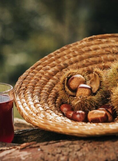 Kastanien und Sturm | Schilcherland Steiermark | © Lupi Spuma