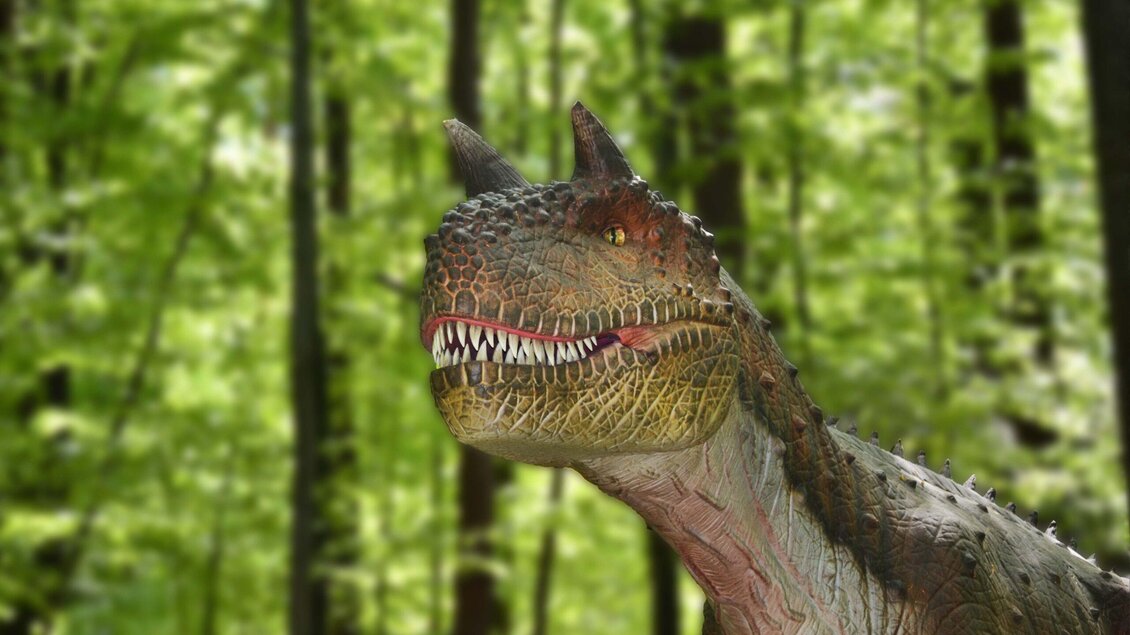 Carnotaurus | © Styrassic Park