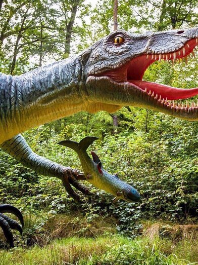 Baryonix | © Styrassic Park  | Markus Ulrich | © Styrassic Park