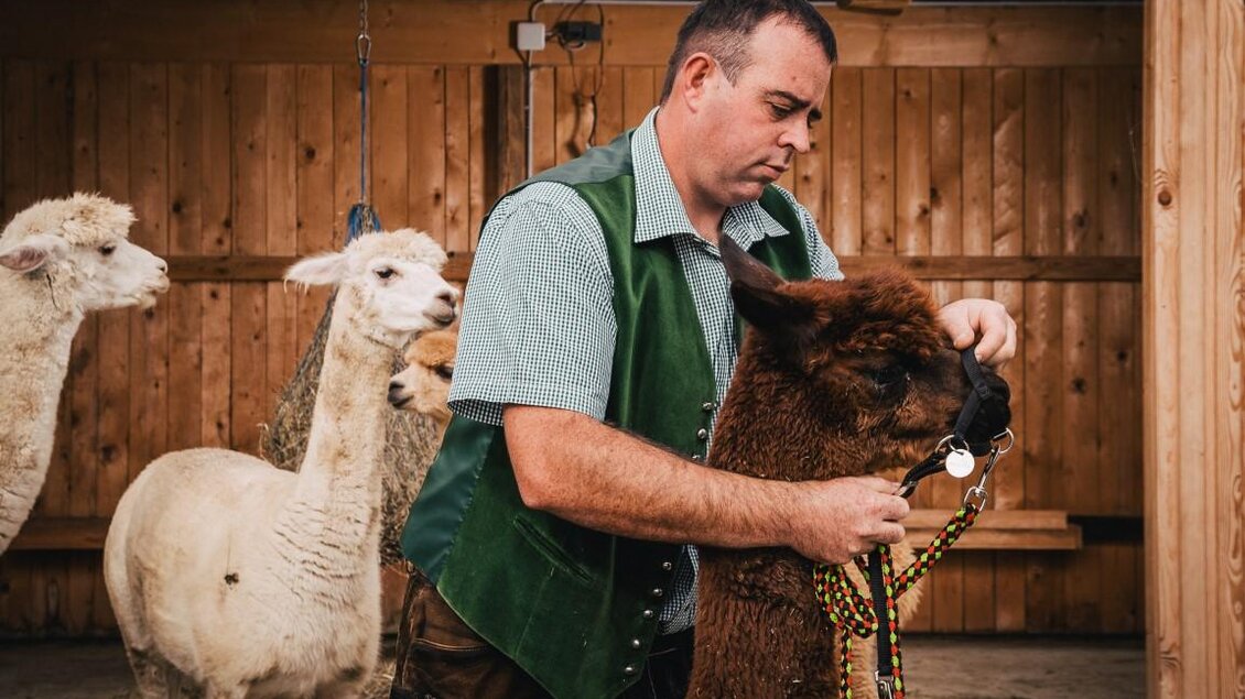 Zaumzeug | © Regionalmanagement Südweststeiermark GmbH/webquartier