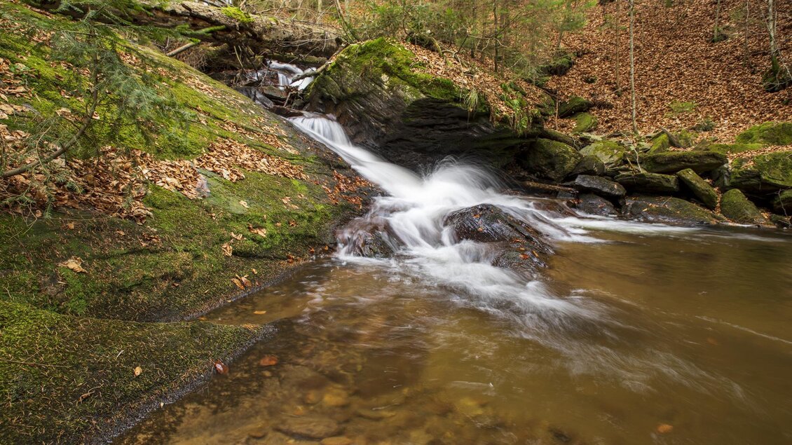 Ein kleiner Wasserfall fließt über glatte Steine in einen klaren Teich. Die Umgebung ist von Bäumen und herbstlichen Blättern umgeben. | © Sulmwasserfall