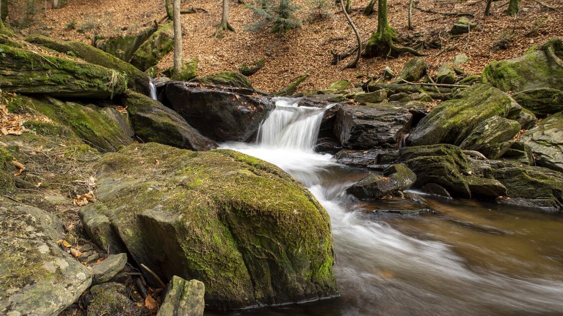 Ein kleiner Wasserfall fließt über grüne, moosbedeckte Steine in einen klaren Bach. Umgeben von herbstlich gefärbtem Laub und hohen Bäumen verleiht die Szene eine friedliche Atmosphäre. | © Sulmwasserfall
