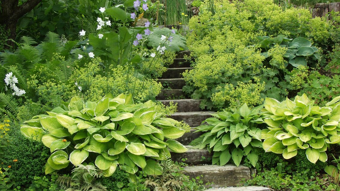 Susis Garten_NEU 12_2024 | © © Susis Garten