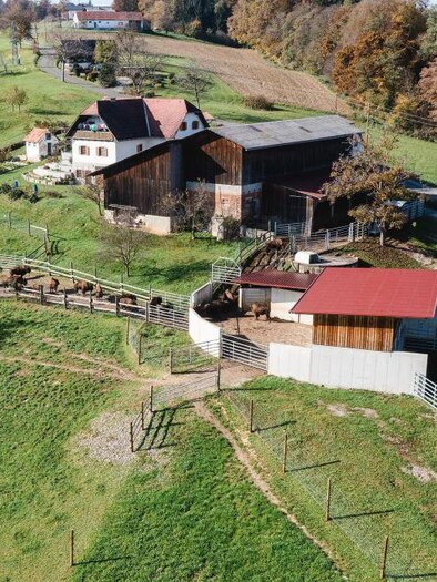 Tatanka Bisonzucht_Hof von oben | © Familie Pucher