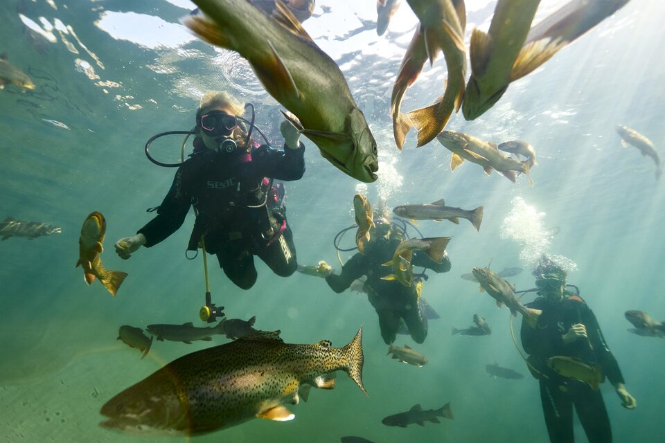 Tauchunternehmen Alpenaquarium Grüblsee - Impression #1 | ©  Susanne Einzenberger
