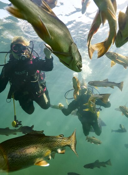 Fischbegegnung |  Susanne Einzenberger | ©  Susanne Einzenberger