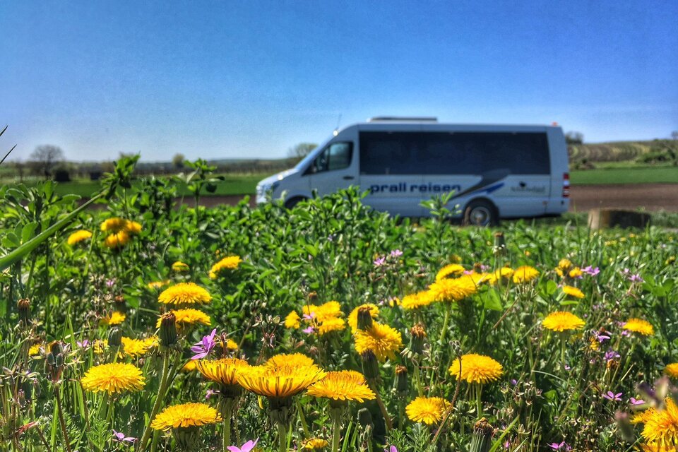 Taxi Mietwagen Omnibus Prall - Impression #1 | © Omnibus Prall