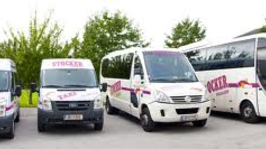 Mehrere Fahrzeuge eines Taxi- und Transportunternehmens stehen in einer Reihe. Die Flotte umfasst kleine Vans und einen großen Bus. | © Taxi Stocker 