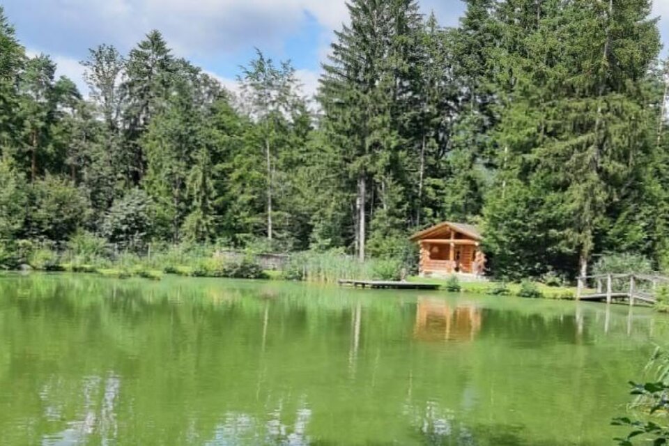 Pond in the fairytale forest - Impression #1 | © Tourismusverband Oststeiermark