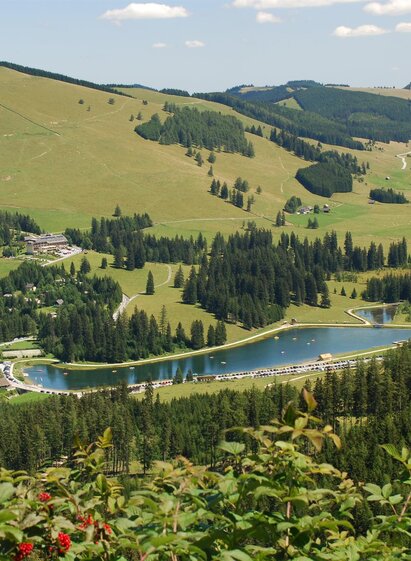 Teichalmsee_Panorama_Oststeiermark | Franz Berghofer | © Tourismusverband Oststeiermark