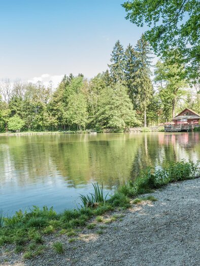 A quiet lake surrounded by lush greenery and trees. In the background, there is a small wooden house and a bench by the shore. | © Die Abbilderei