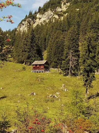 Teltschenalm | Christina Arzberger | © Christina Arzberger