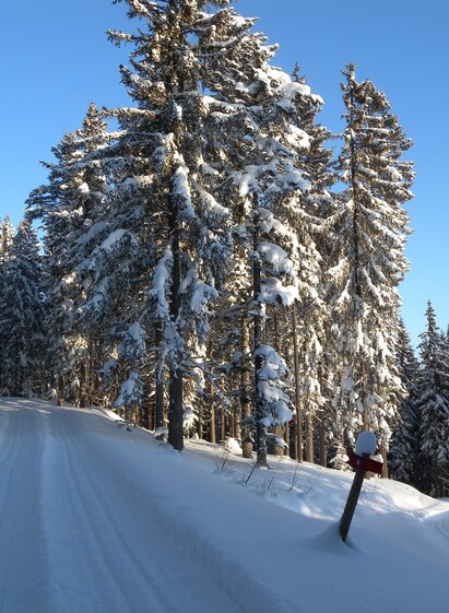 Teufelstein Cross-country skiing trail_track_Eastern Styria | © Hans Zink
