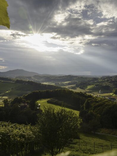 A picturesque landscape with gentle hills and vineyards. The sun breaks through the clouds and bathes the scene in golden light. | © Steiermark Tourismus