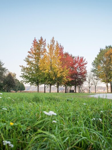 thermal spa park Bad Blumau | © Kurkommission Bad Blumau | Jennifer Rath | © Kurkommission Bad Blumau