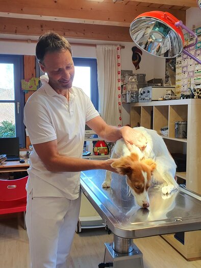 Dr. Berger | © TV Hochsteiermark