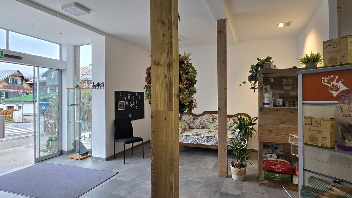 Ein einladender Empfangsbereich mit moderner Dekoration. Es gibt eine Couch, Pflanzen und Regale mit verschiedenen Gegenständen. | © Stephanie Bor