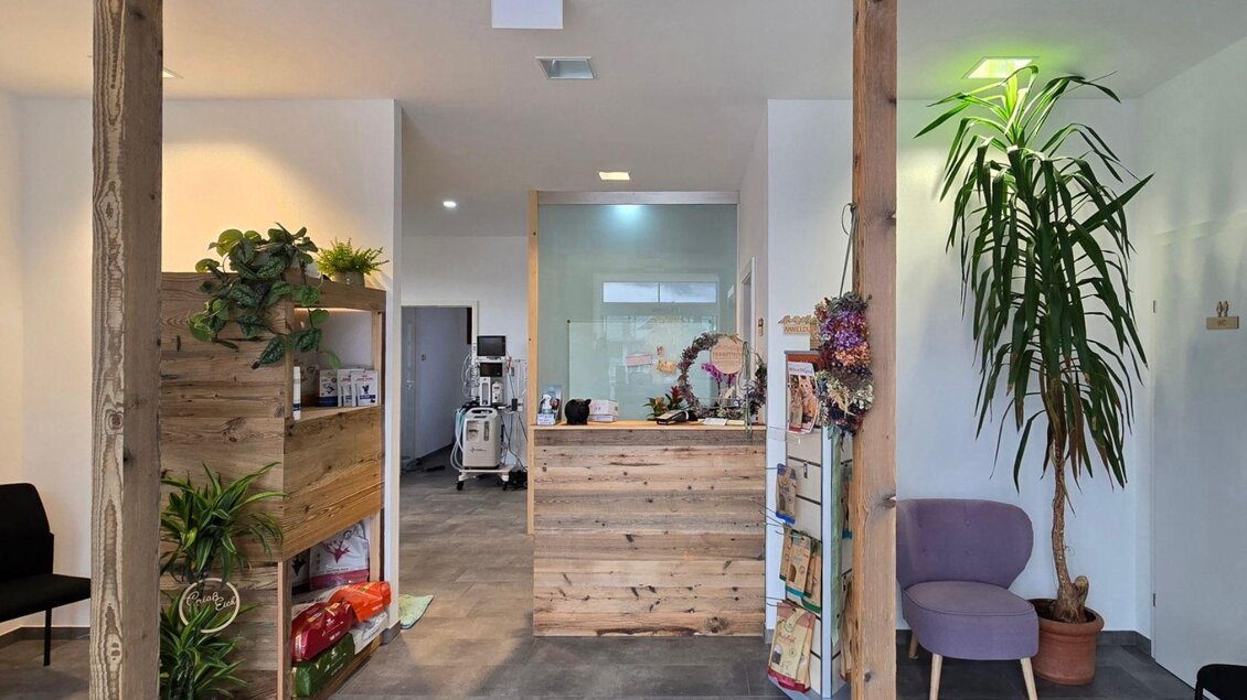 Ein einladender Empfangsbereich mit Holzverkleidung und einer großen Pflanze. Helle Wände und moderne Möbel schaffen eine freundliche Atmosphäre. | © Stephanie Bor