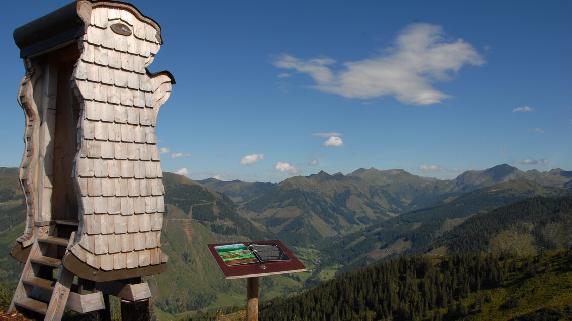 Ein einzigartiges Aussichtspunkt mit einer hölzernen Struktur und Blick auf die Berge. Im Hintergrund erstrecken sich grüne Täler und ein klarer Himmel. | © Riesneralm