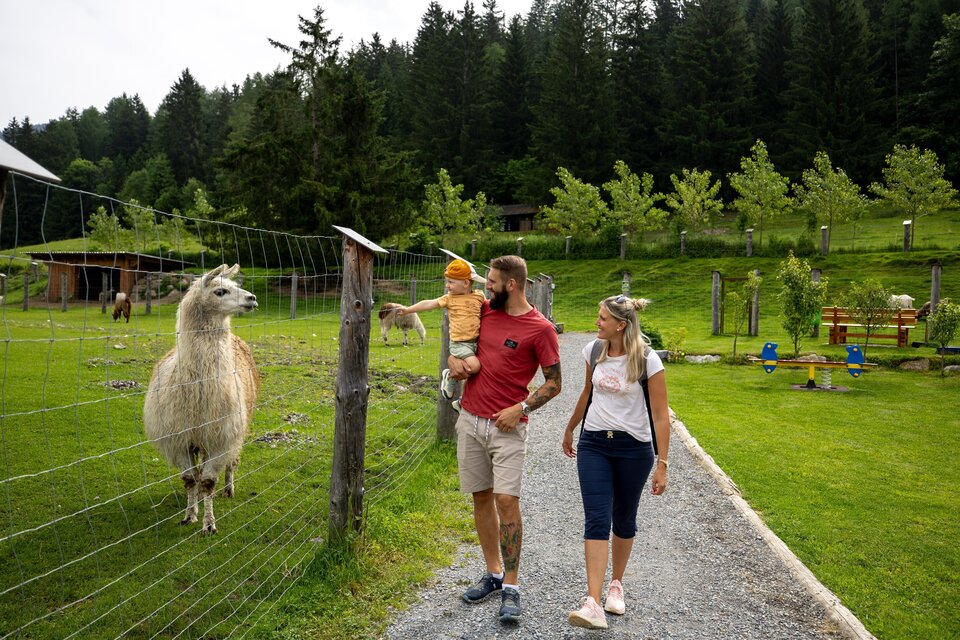Animal park and adventure farm Scheifling - Impression #1 | © Tourismusverband Murau