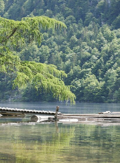 Toplitzsee lake, Grundlsee, Beautiful view | Schifffahrt Grundlsee/Eisenberger | © Schifffahrt Grundlsee/Eisenberger