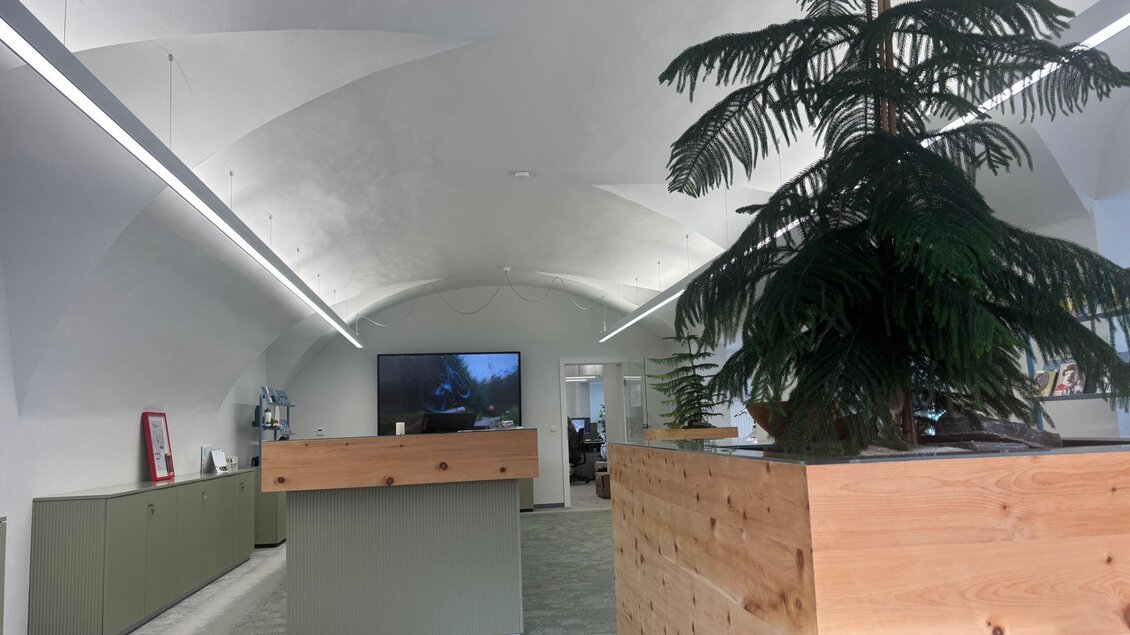 Ein moderner Büroraum mit einem hohen gewölbten Decke. Große Pflanzen und Holzdetail verleihen dem Raum eine einladende Atmosphäre. | © Selina Senf