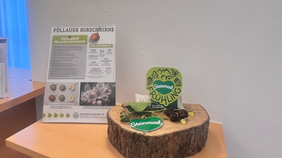 Ein Holzstück mit verschiedenen Dekorationen und einem Informationsblatt daneben. Die Elemente scheinen sich auf ein nachhaltiges oder umweltfreundliches Thema zu beziehen. | © Tourismusverband Oststeiermark