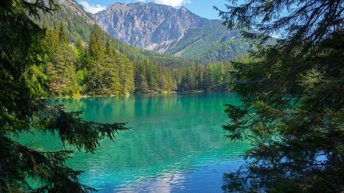 Ein klarer See umgeben von grünen Bäumen und majestätischen Bergen. Die Farben des Wassers sind strahlend turquoise unter einem blauen Himmel. | © TV ERZBERG LEOBEN