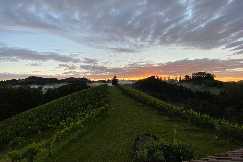 Trautenburg Stub'n - Impression #1 | © Trautenburg Stub´n