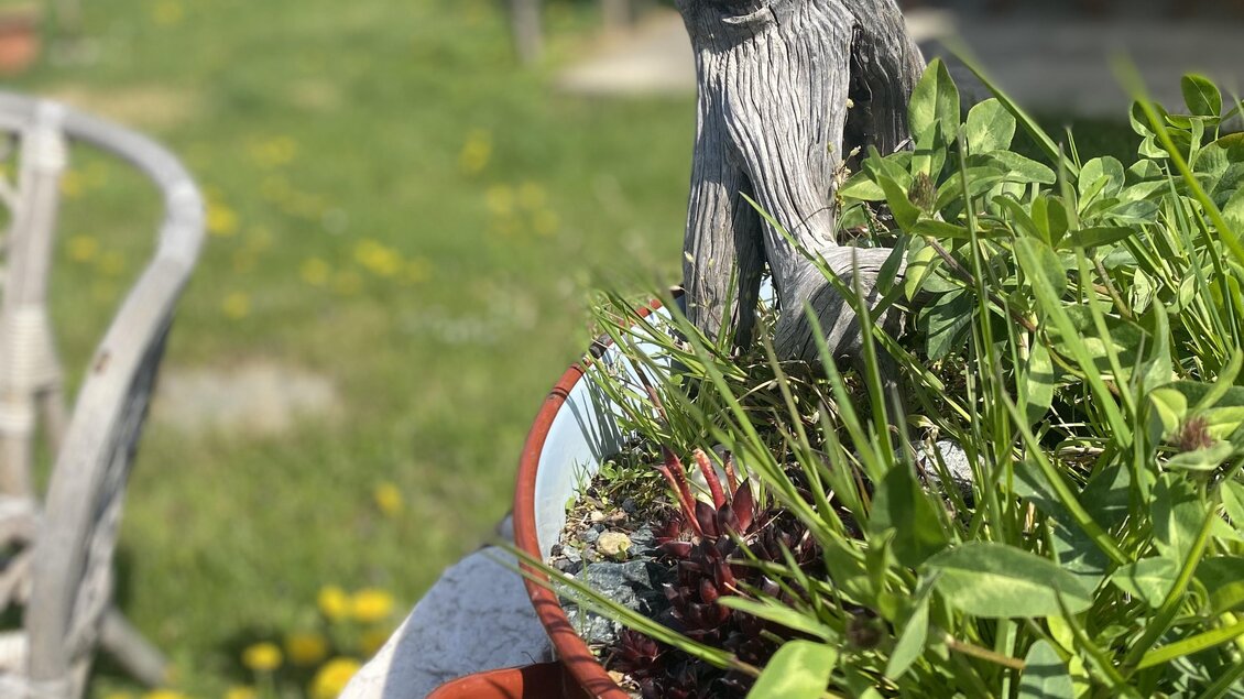 Eine lustige Gartenfigur aus Holz in einem Blumentopf mit grünen Pflanzen. Im Hintergrund sieht man eine fröhliche Gartenlandschaft.