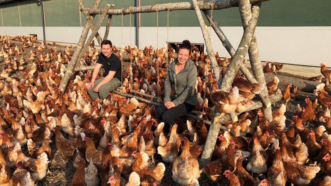 Zwei Personen sitzen auf einer Schaukel inmitten einer Gruppe von Hühnern. Der Hintergrund zeigt einen Hühnerstall und eine naturnahe Umgebung.