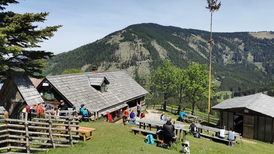 Tyrnaueralm Hütte_Sommer_Oststeiermark | © Tourismusverband Oststeiermark