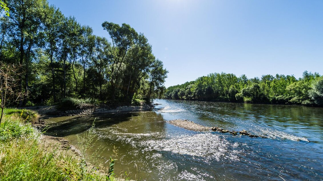 Ein ruhiger Fluss umgeben von üppigen Bäumen und klarem Himmel. Die Sonne spiegelt sich auf der Wasseroberfläche wider. | © Thermen- & Vulkanland
