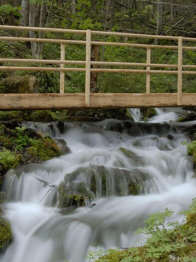 Eine kleine Holzbrücke über einen rauschenden Bach. Umgeben von grünen Pflanzen und Bäumen. | © Tourismusverband Murau