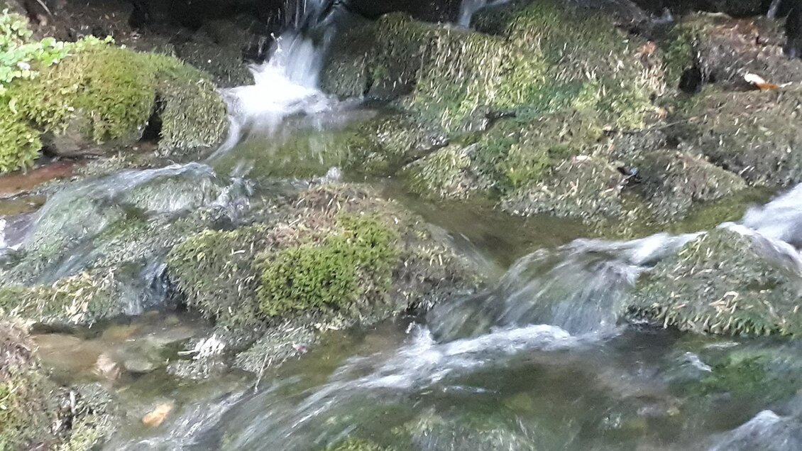 Ein kleiner Bach fließt über moosbedeckte Steine. Das Wasser glitzert in der Sonne. | © Tourismusverband Murau