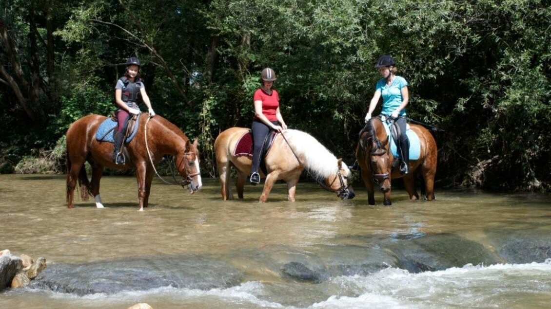 Reitsportzentrum_Reiten im Wasser_Oststeiermark | © Reitsportzentrum Schönegg