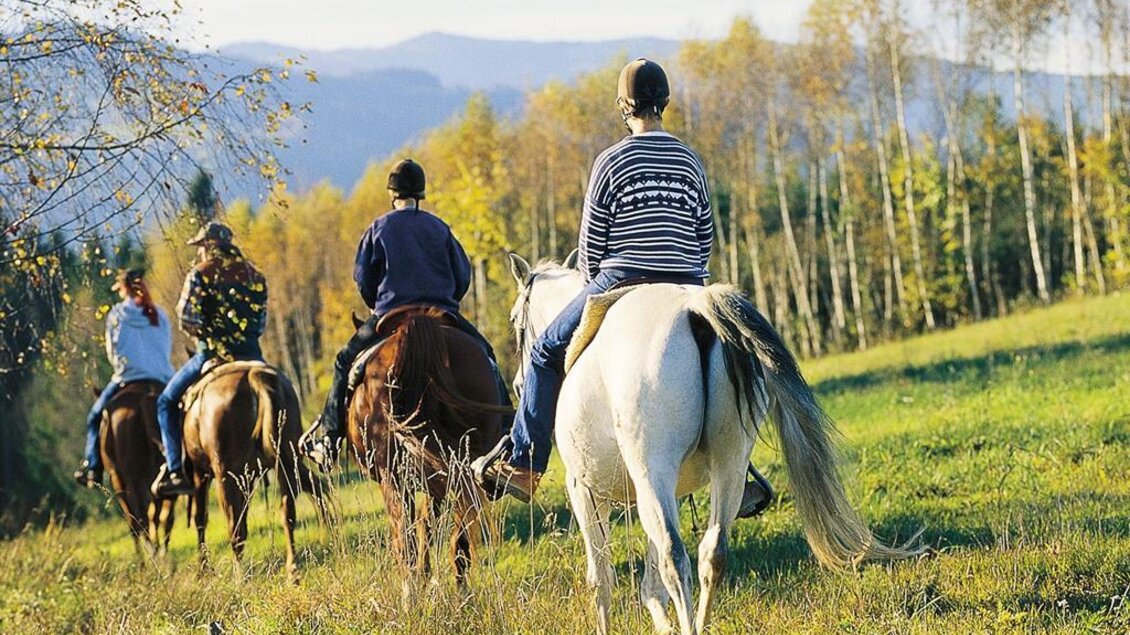 Reitsportzentrum_Reiten_Oststeiermark | © Reitsportzentrum
