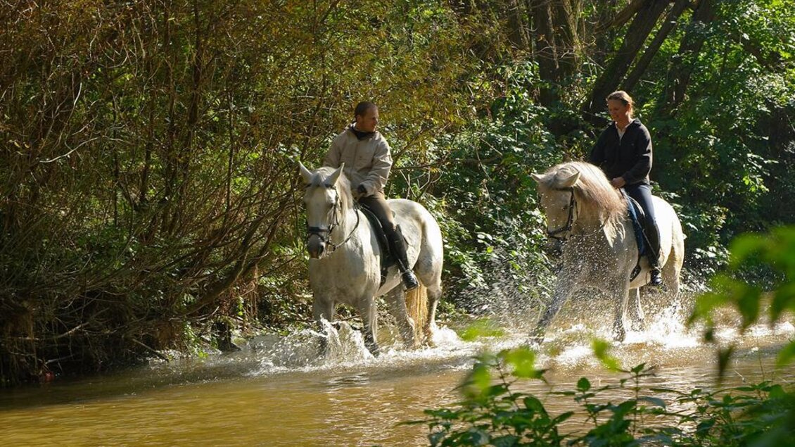 Reitsportzentrum_Reiten über Bach_Oststeiermark | © Reitsportzentrum