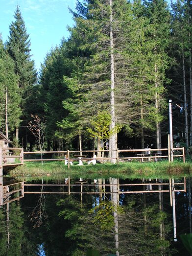 Rowanberry Hike_Eastern Styria_Foto Graf | © Mike Graf | © Mike Graf