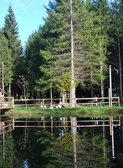 Rowanberry Hike_Eastern Styria_Foto Graf | © Mike Graf