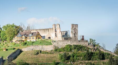Voitsberger Schlossberg | © Lipizzanerheimat - Die Abbilderei | © Lipizzanerheimat - Die Abbilderei