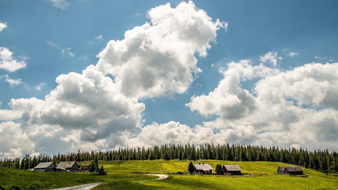 Blick auf die Almen | © Christian Scheucher