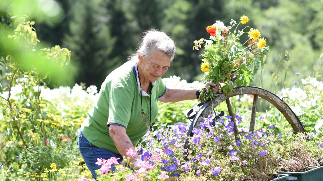 Eine ältere Frau arbeitet in einem bunten Garten. Sie pflanzt Blumen und umgeben von vielen Pflanzen und Bäumen. | © Waldhäuslalm/Shootingstar